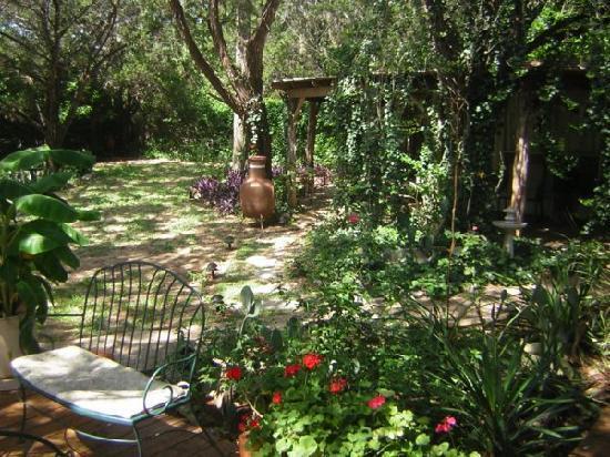 Casa Del Sol Bed And Breakfast Lakeway Room photo