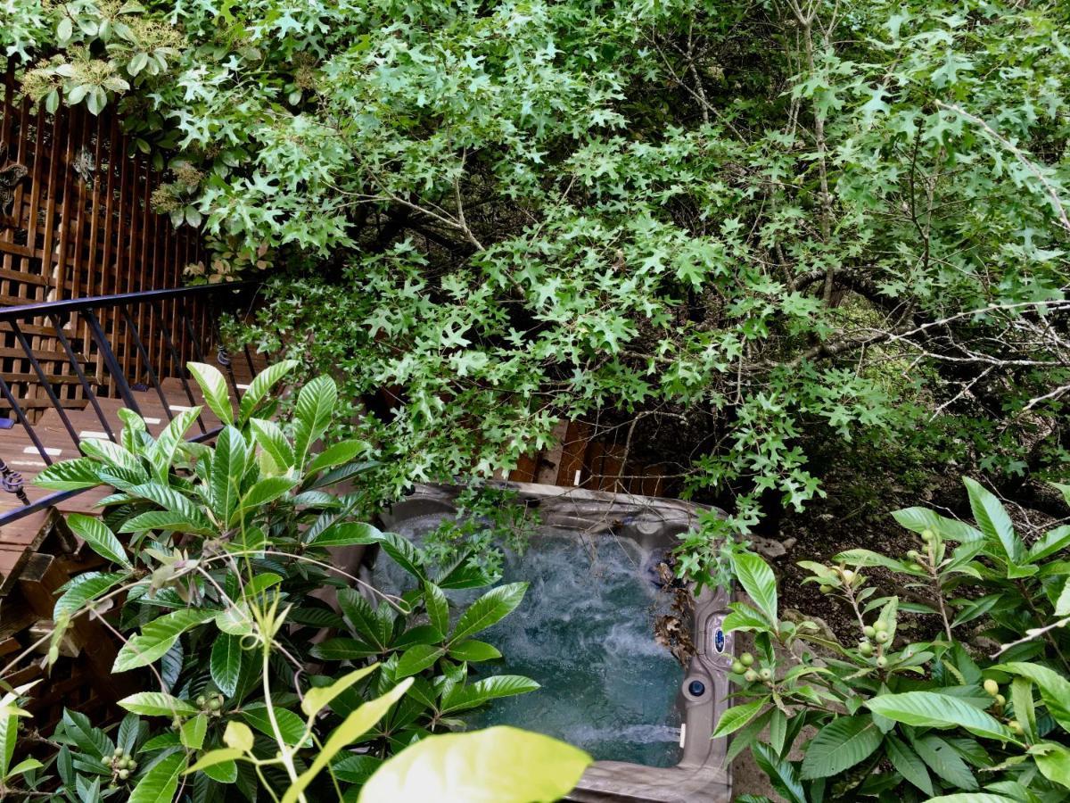 Casa Del Sol Bed And Breakfast Lakeway Exterior photo